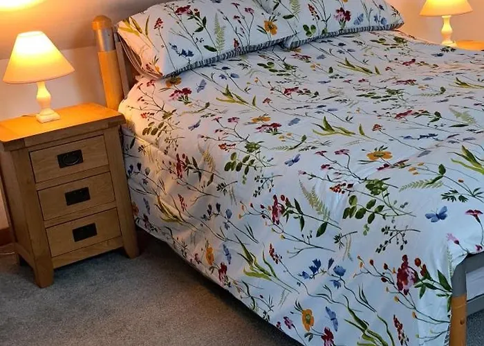 Robins Nest
